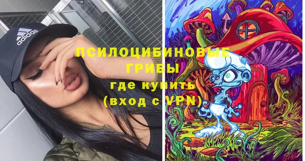 МДПВ Магас